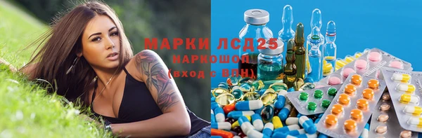 эйфоретик Баксан