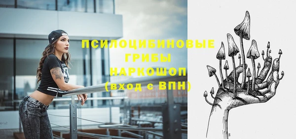 молекула духа Балахна