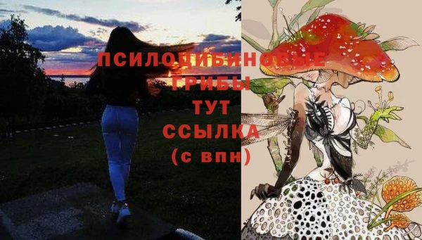эйфоретик Баксан
