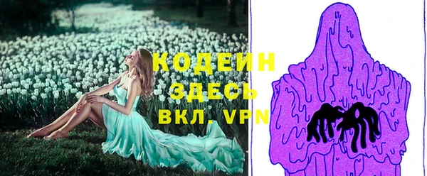 молекула духа Балахна