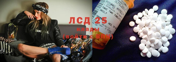 эйфоретик Баксан