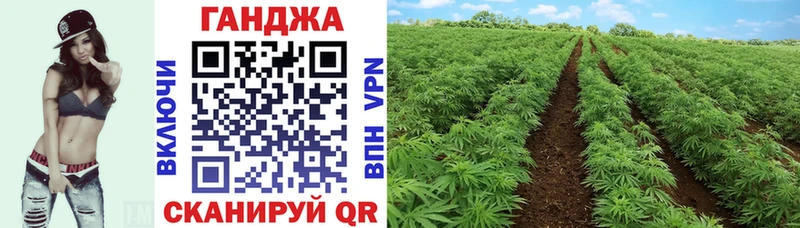 Шишки марихуана OG Kush  hydra вход  Биробиджан  где купить наркотик 